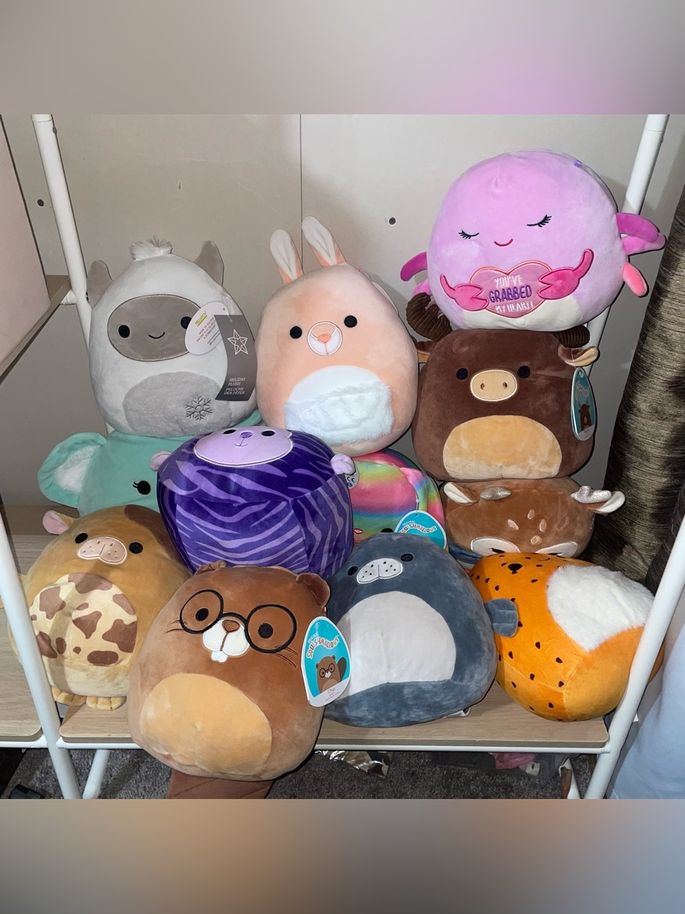 12 Squishmallows Plush Lot medium sized